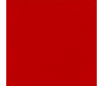 Paint 4 Litre MF Red